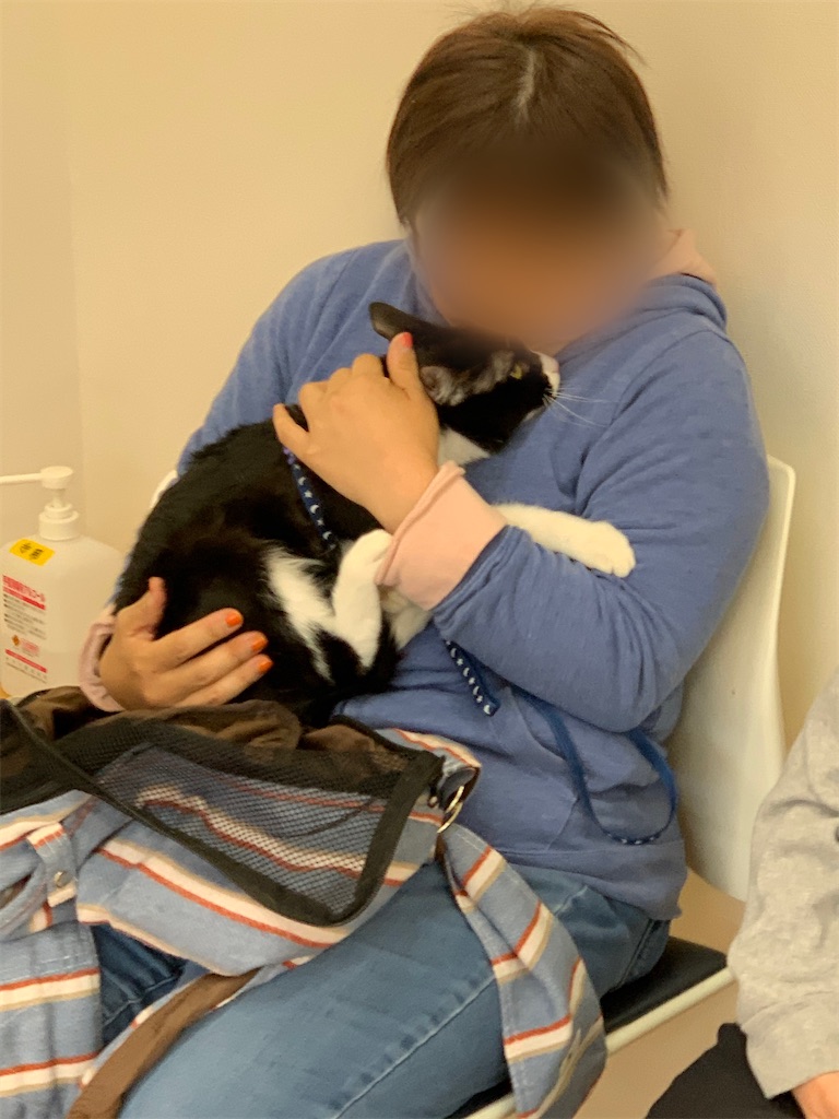 f:id:sakaivet2019:20210321170622j:image f:id:sakaivet2019:20210321170622j:image