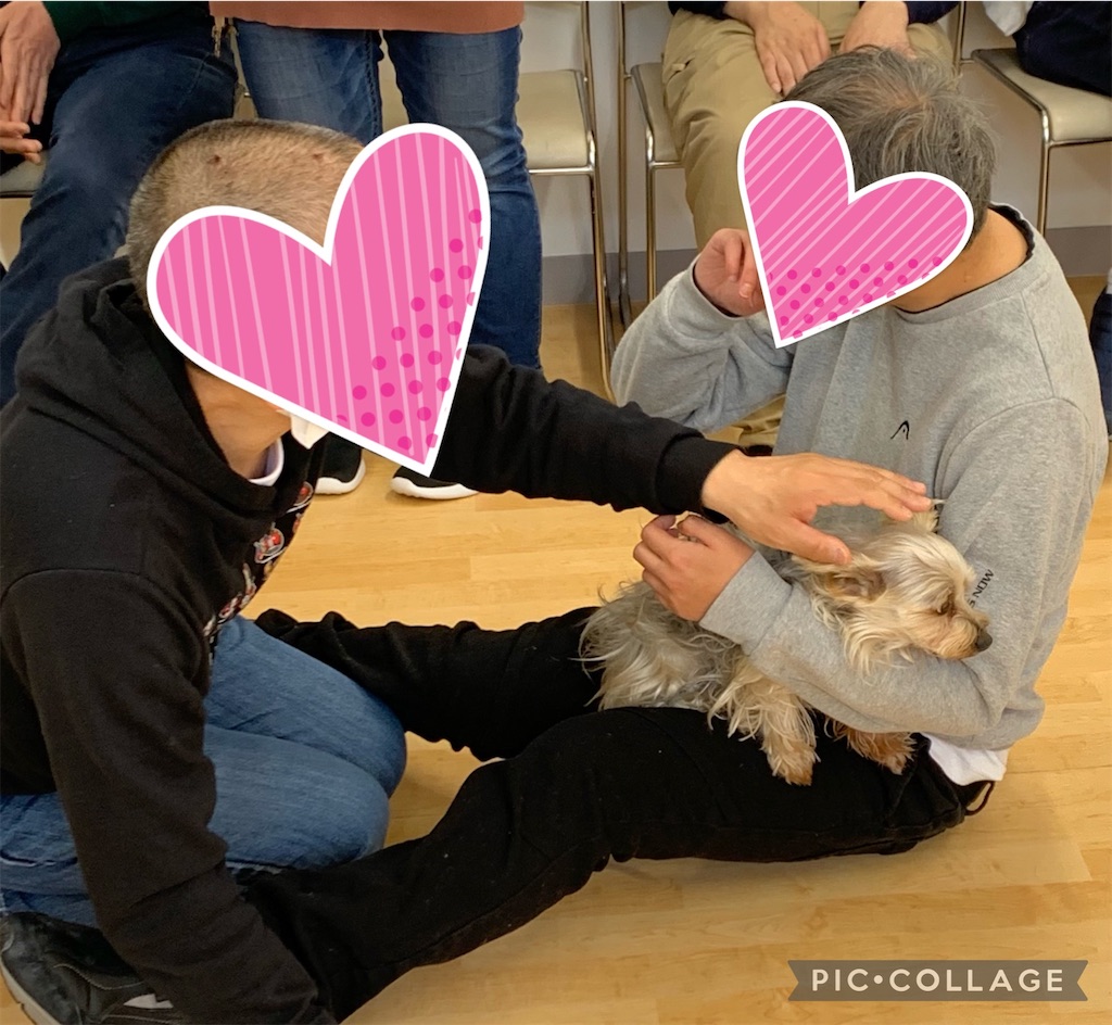 f:id:sakaivet2019:20210321170626j:image f:id:sakaivet2019:20210321170626j:image