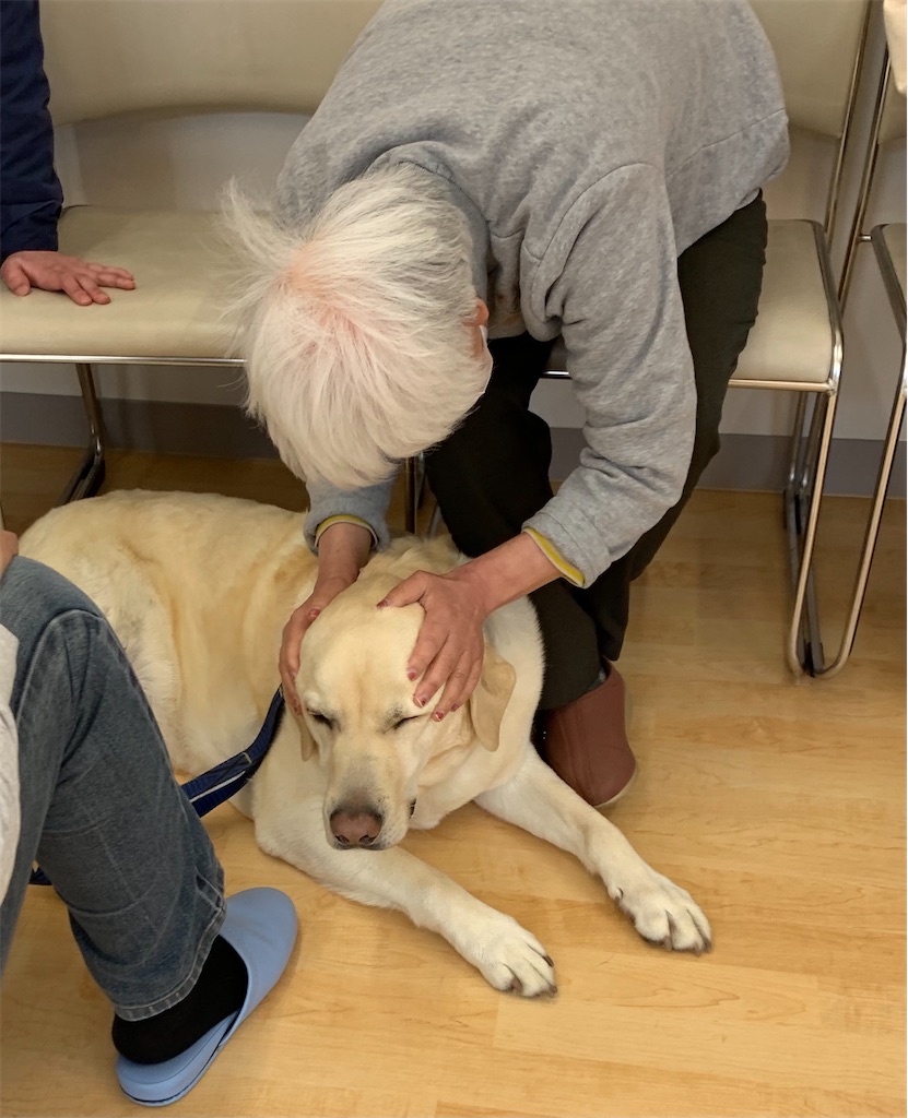 f:id:sakaivet2019:20210321170728j:image f:id:sakaivet2019:20210321170728j:image