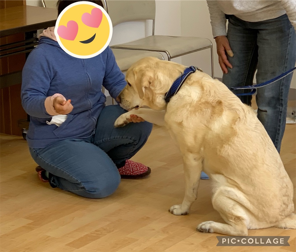 f:id:sakaivet2019:20210321170732j:image f:id:sakaivet2019:20210321170732j:image