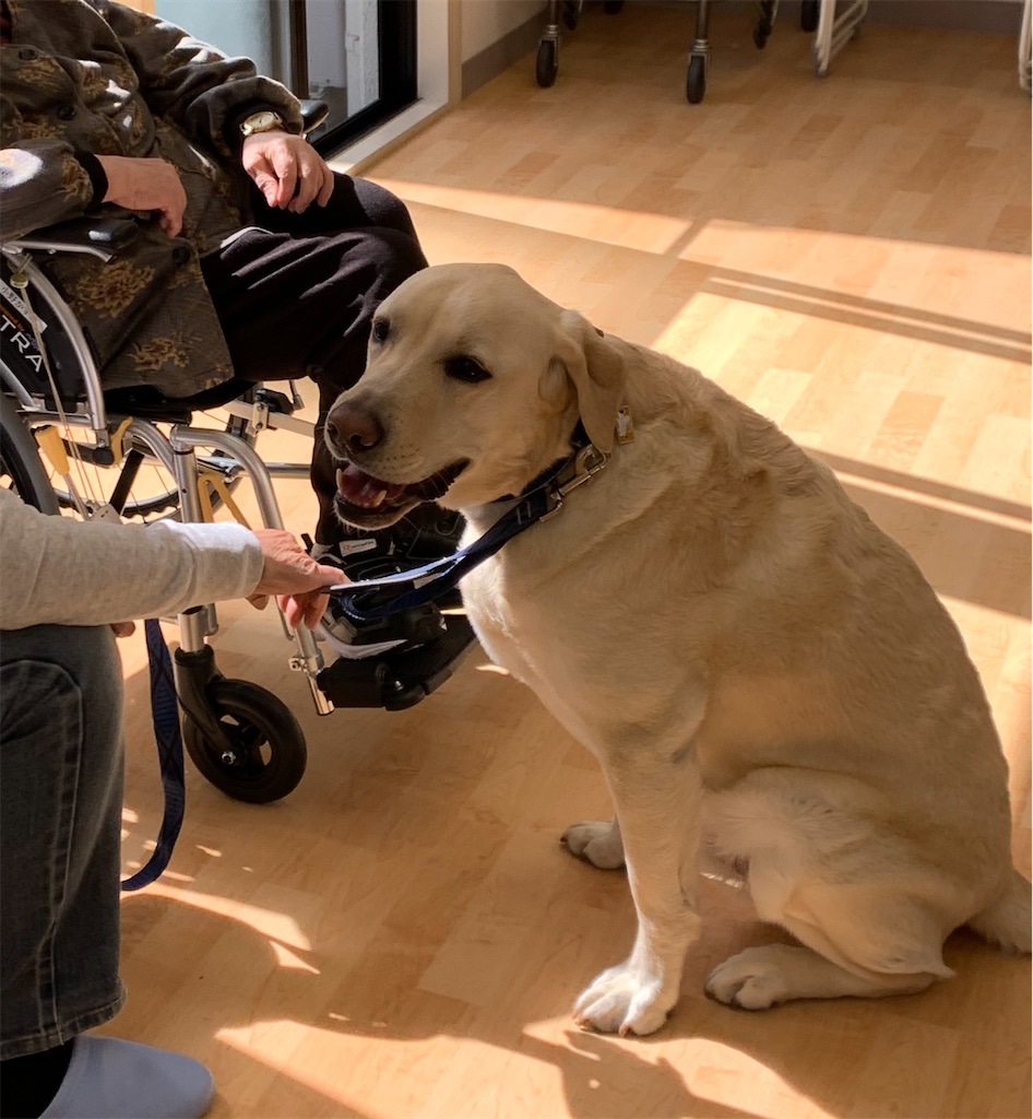 f:id:sakaivet2019:20210321170737j:image f:id:sakaivet2019:20210321170737j:image
