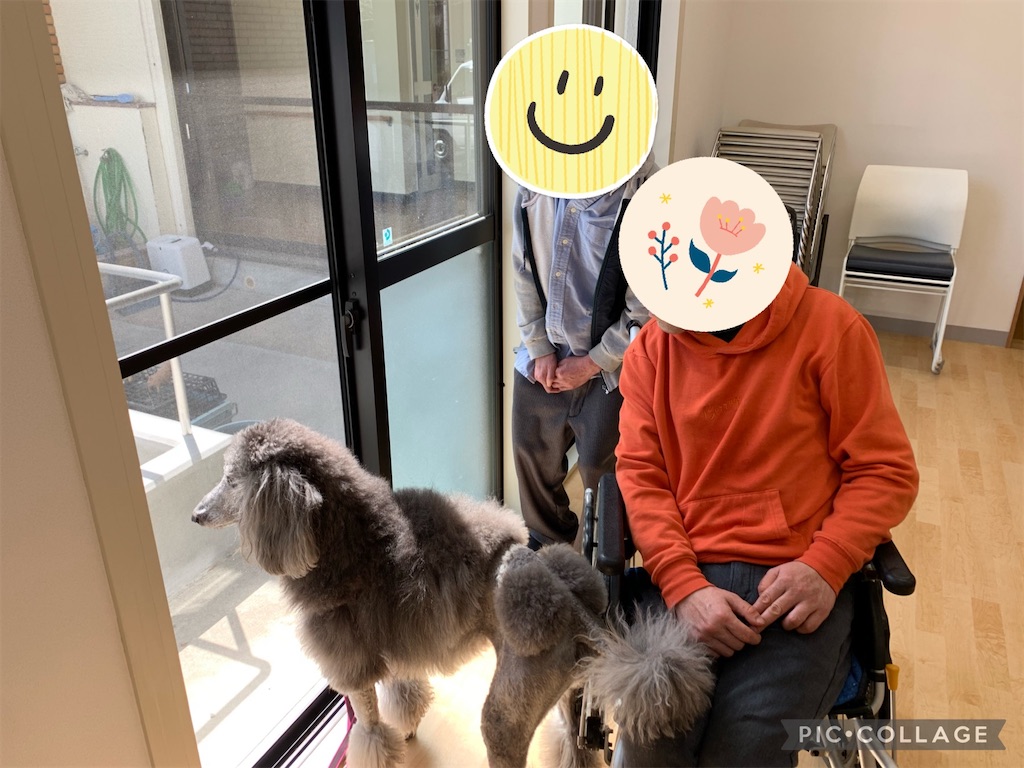 f:id:sakaivet2019:20210321170911j:image f:id:sakaivet2019:20210321170911j:image
