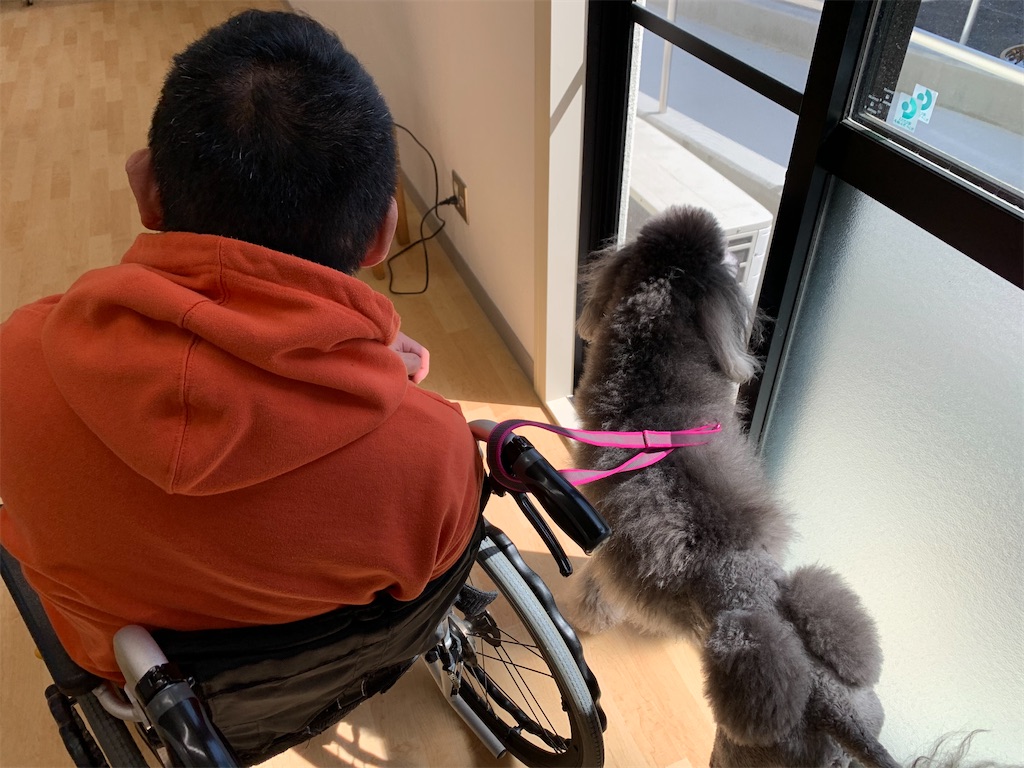 f:id:sakaivet2019:20210321170918j:image f:id:sakaivet2019:20210321170918j:image