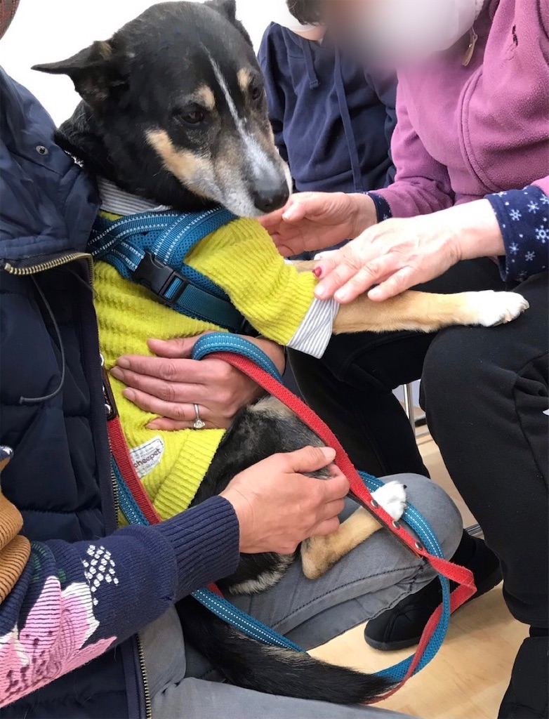 f:id:sakaivet2019:20210321170922j:image f:id:sakaivet2019:20210321170922j:image
