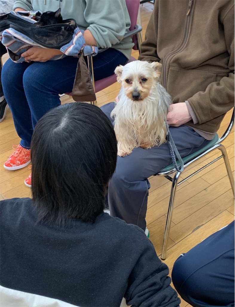f:id:sakaivet2019:20210326145242j:image