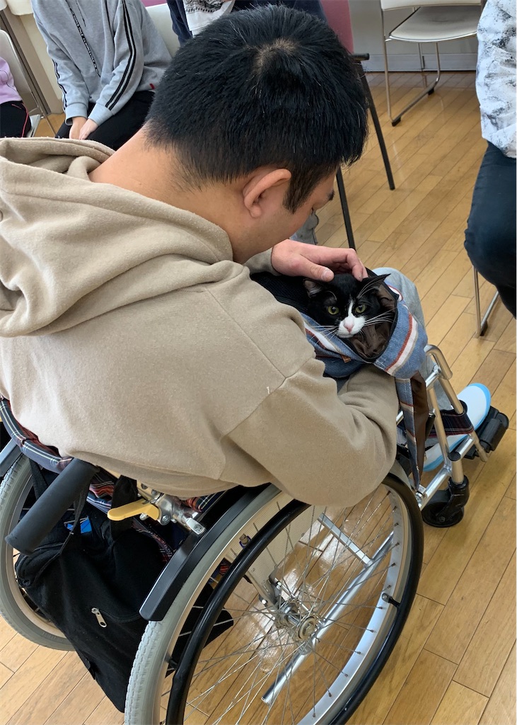 f:id:sakaivet2019:20210326145245j:image
