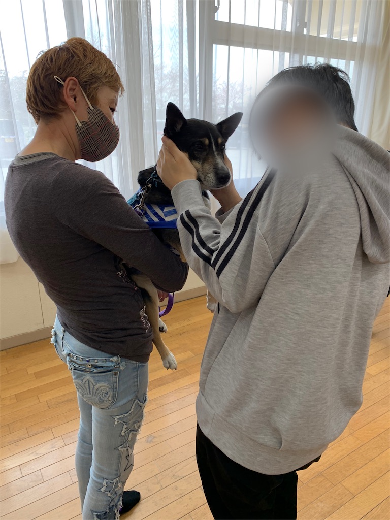 f:id:sakaivet2019:20210326145303j:image