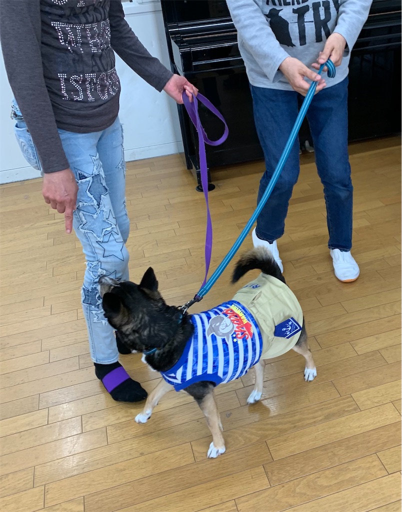 f:id:sakaivet2019:20210326145308j:image