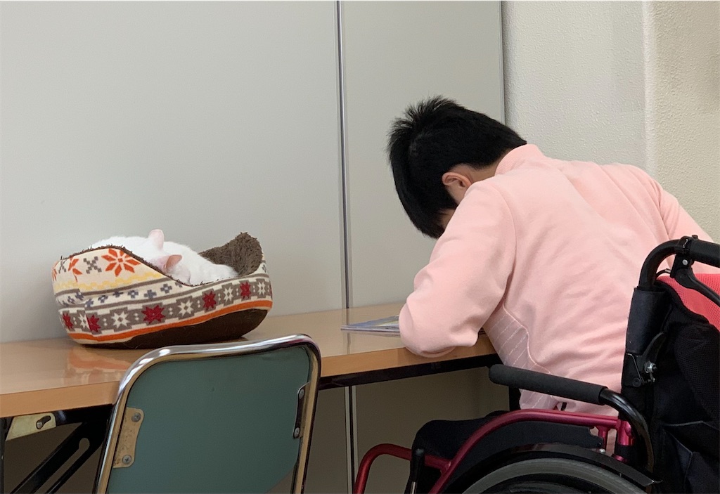 f:id:sakaivet2019:20210326145312j:image