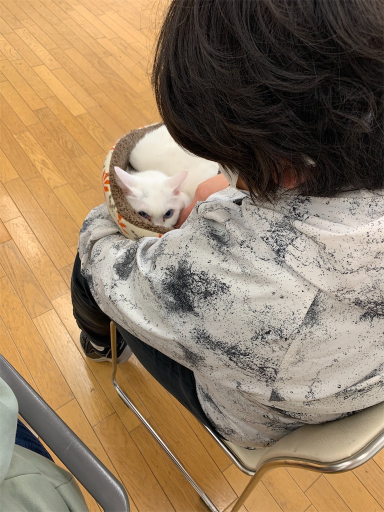 f:id:sakaivet2019:20210326145319j:image