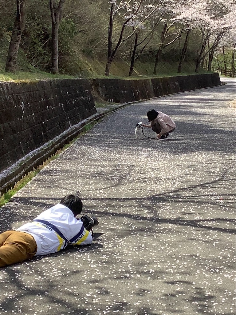 f:id:sakaivet2019:20210402194616j:image