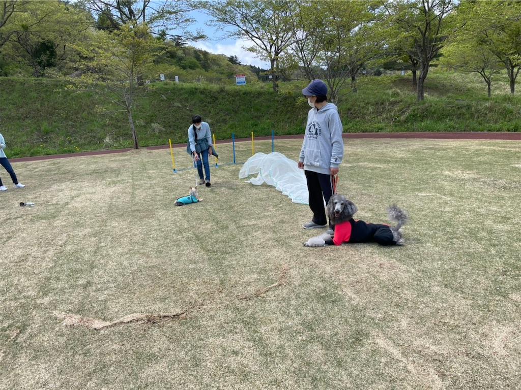 f:id:sakaivet2019:20210423205042j:image f:id:sakaivet2019:20210423205042j:image