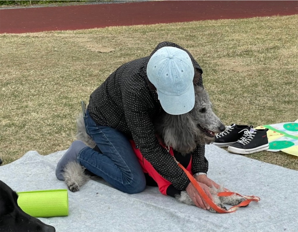f:id:sakaivet2019:20210423205050j:image f:id:sakaivet2019:20210423205050j:image