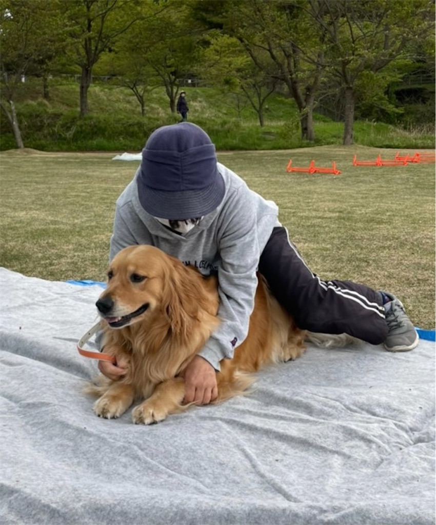 f:id:sakaivet2019:20210423205101j:image f:id:sakaivet2019:20210423205101j:image
