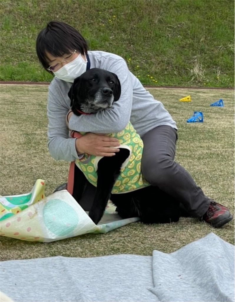 f:id:sakaivet2019:20210423205109j:image f:id:sakaivet2019:20210423205109j:image