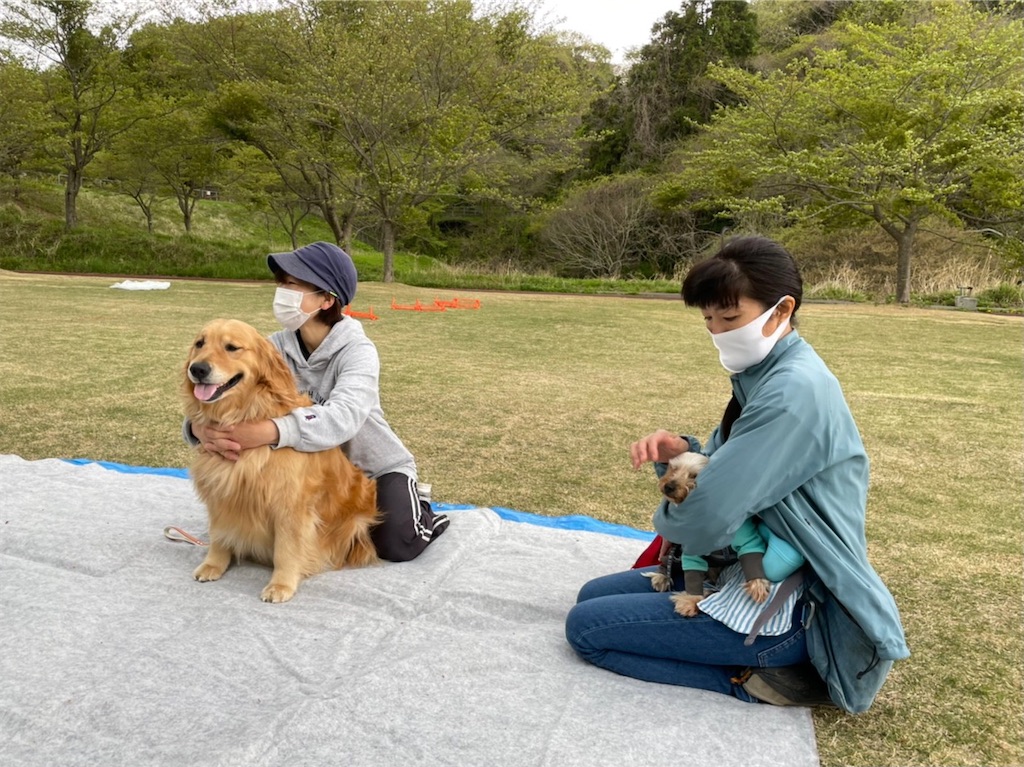 f:id:sakaivet2019:20210423205113j:image f:id:sakaivet2019:20210423205113j:image