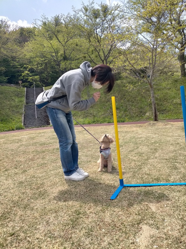 f:id:sakaivet2019:20210423205120j:image f:id:sakaivet2019:20210423205120j:image