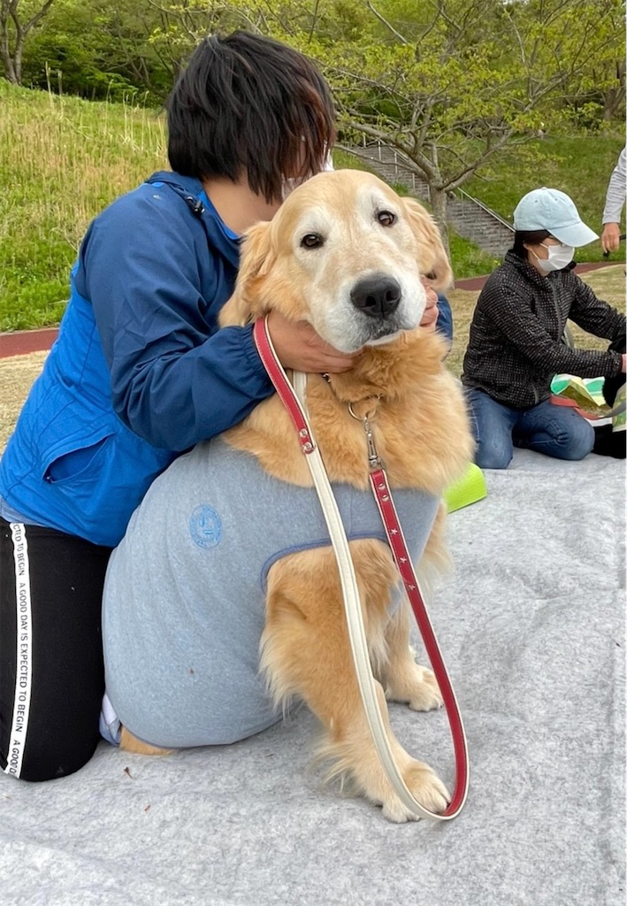 f:id:sakaivet2019:20210423205127j:image f:id:sakaivet2019:20210423205127j:image