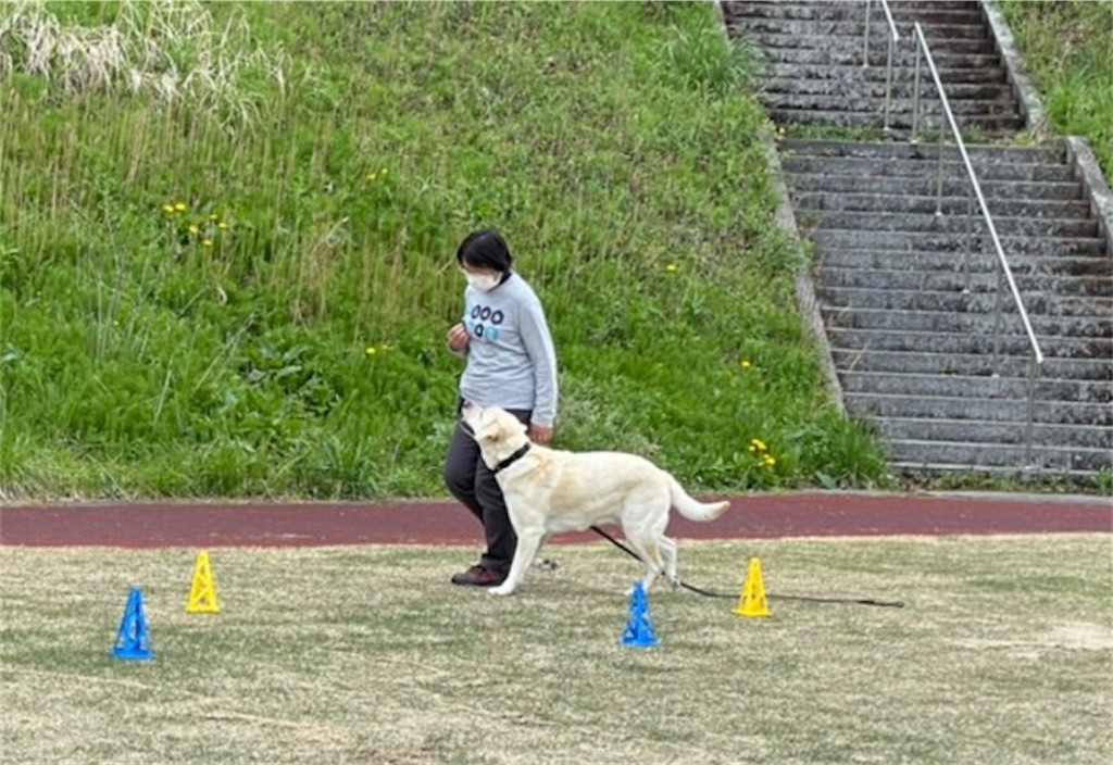 f:id:sakaivet2019:20210423205131j:image f:id:sakaivet2019:20210423205131j:image