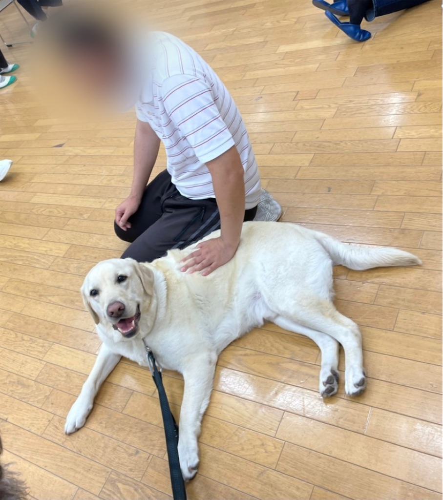f:id:sakaivet2019:20210527192205j:image