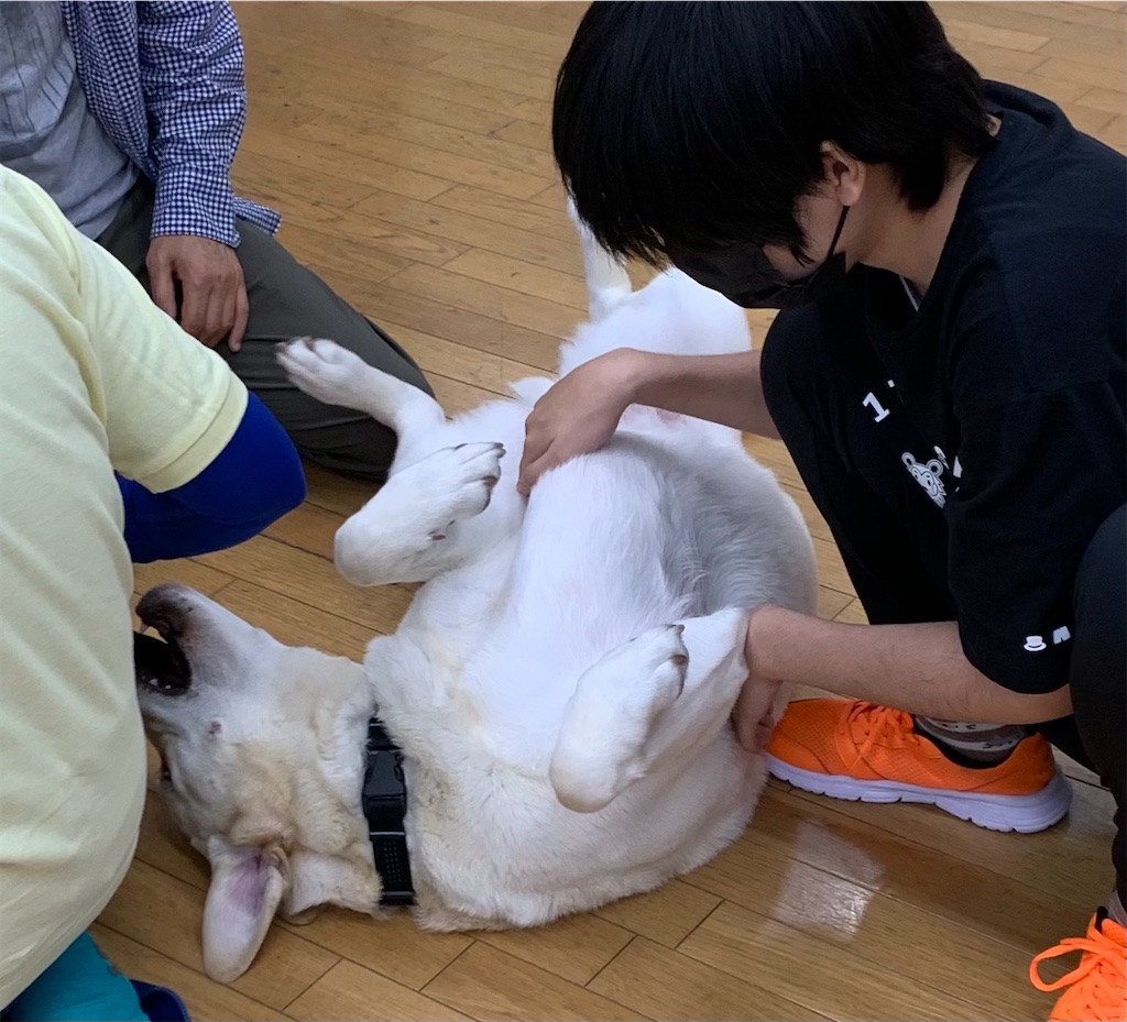 f:id:sakaivet2019:20210527192213j:image