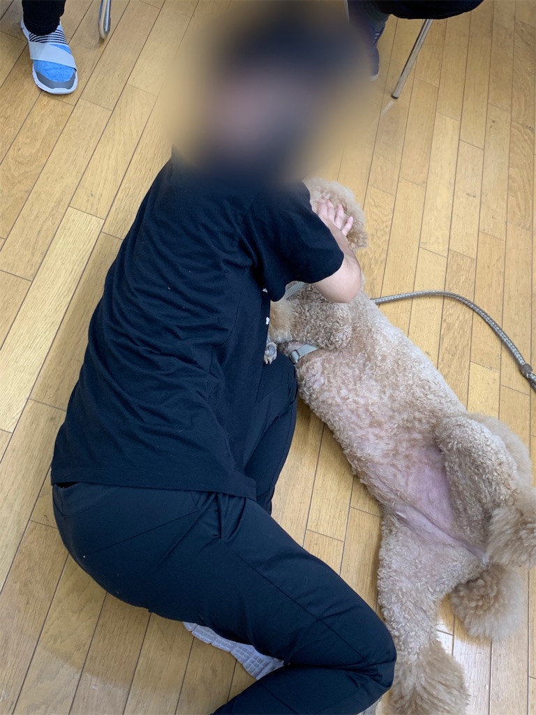 f:id:sakaivet2019:20210527210428j:image