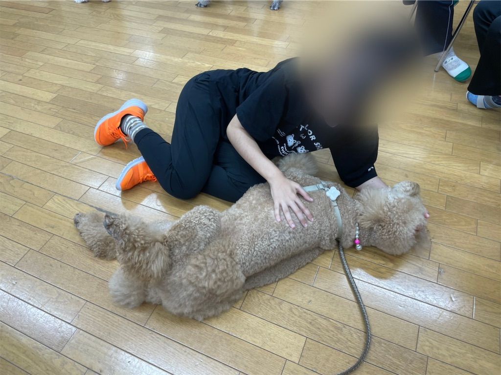 f:id:sakaivet2019:20210527210436j:image