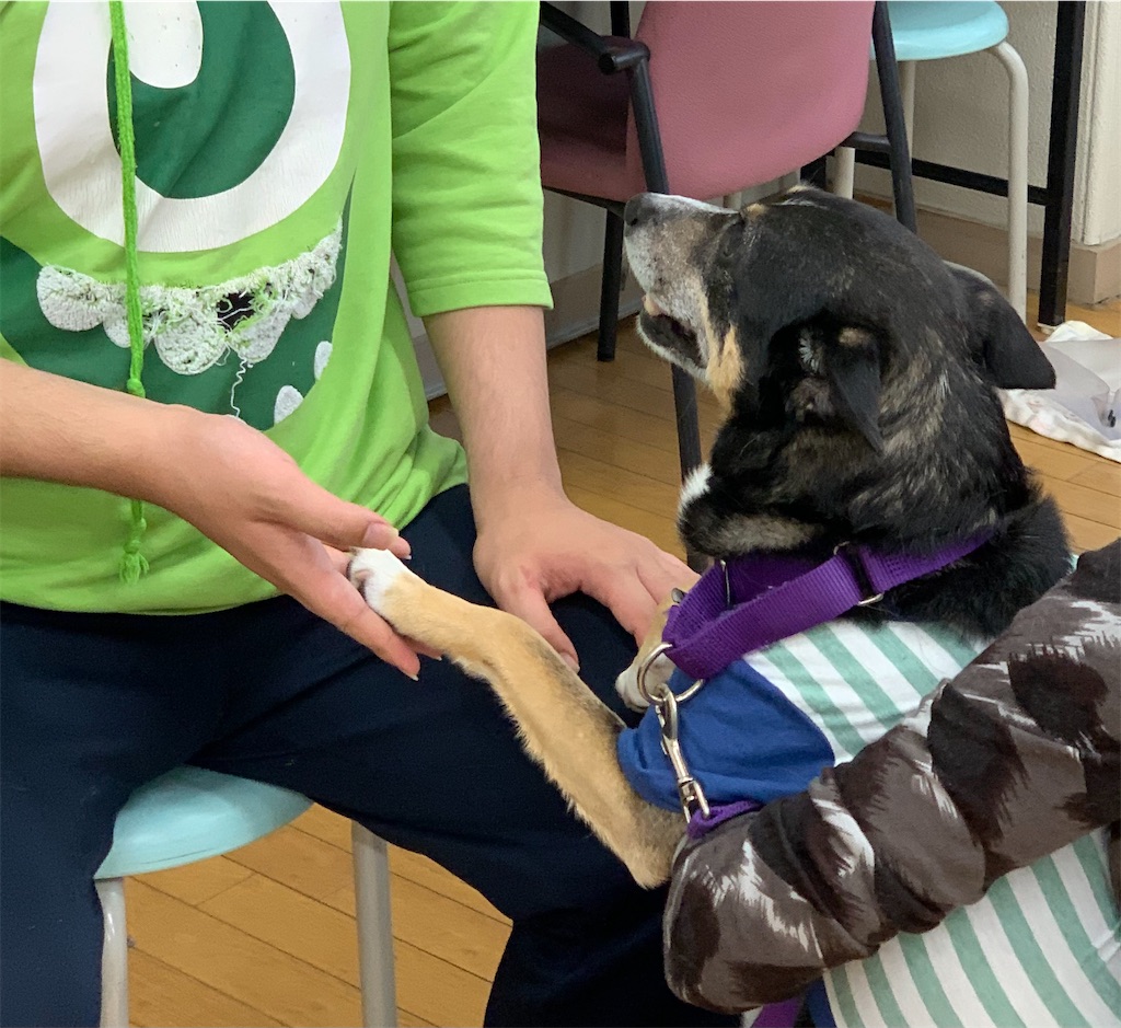 f:id:sakaivet2019:20210527211200j:image
