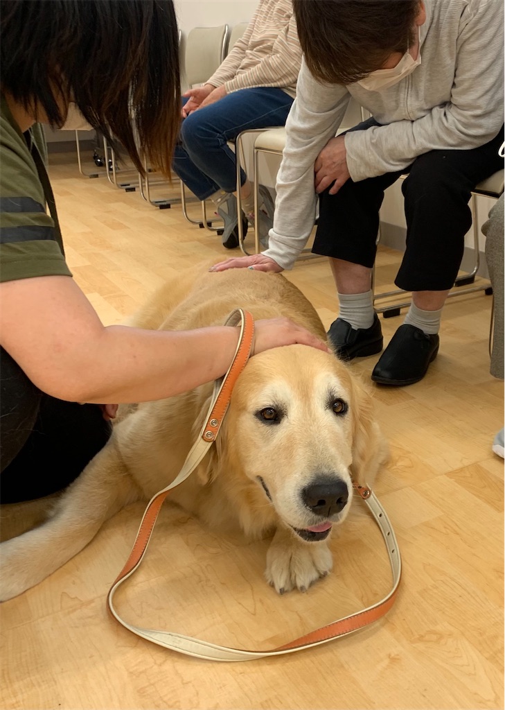 f:id:sakaivet2019:20210620175306j:image f:id:sakaivet2019:20210620175306j:image