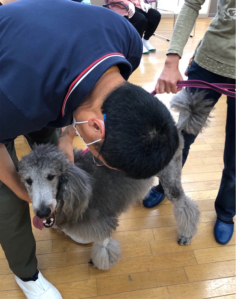 f:id:sakaivet2019:20210731163439j:image