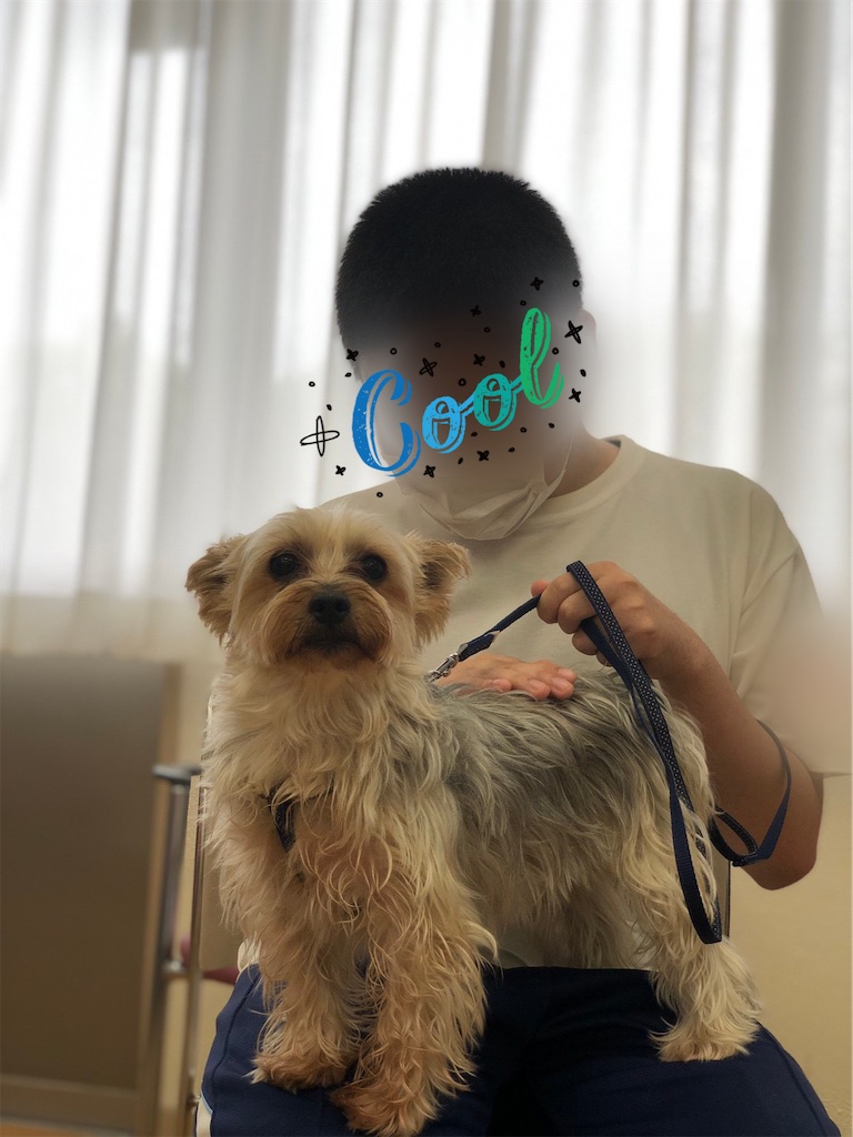 f:id:sakaivet2019:20210731163757j:image
