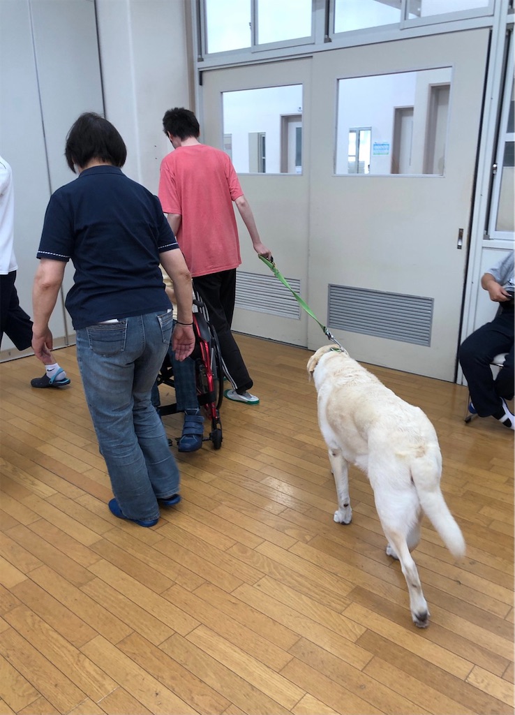 f:id:sakaivet2019:20210731180849j:image f:id:sakaivet2019:20210731180849j:image