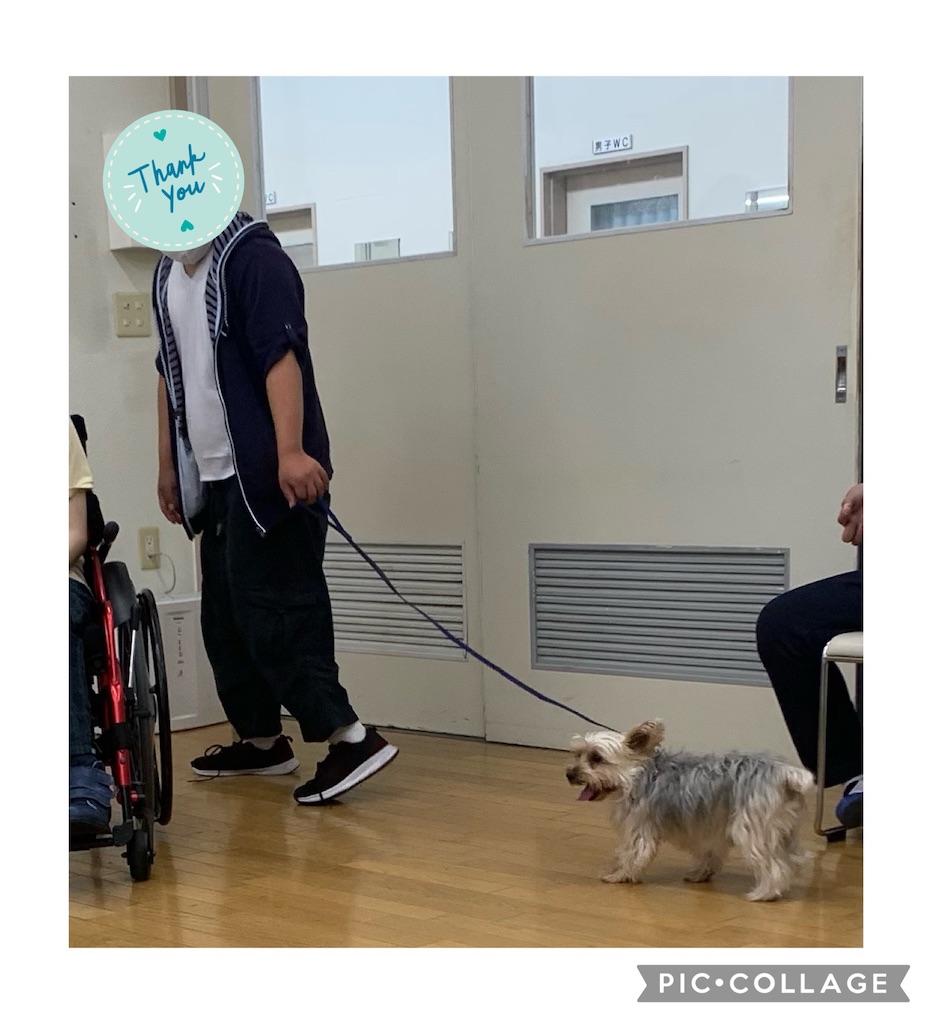 f:id:sakaivet2019:20210731180856j:image f:id:sakaivet2019:20210731180856j:image