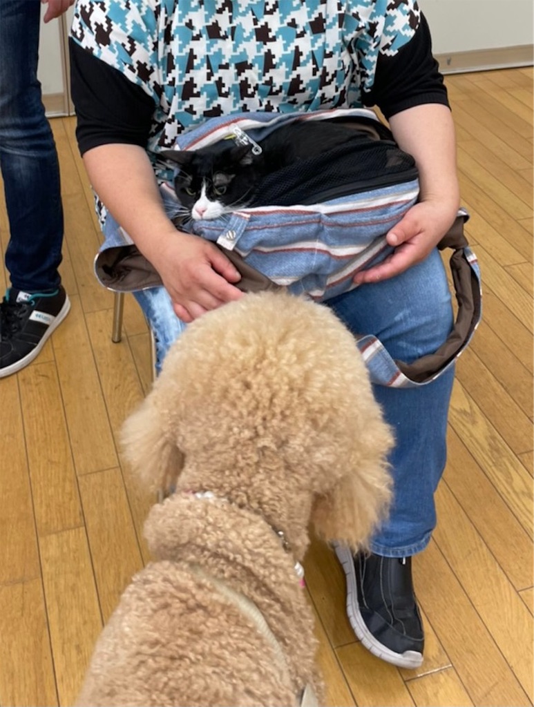 f:id:sakaivet2019:20210731181710j:image f:id:sakaivet2019:20210731181710j:image