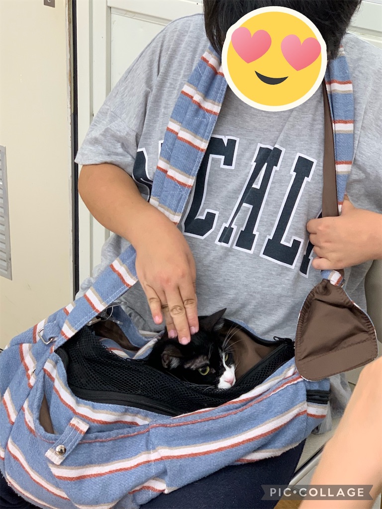 f:id:sakaivet2019:20210731181713j:image f:id:sakaivet2019:20210731181713j:image