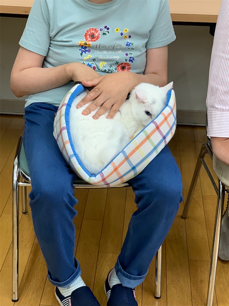 f:id:sakaivet2019:20210731181740j:image f:id:sakaivet2019:20210731181740j:image