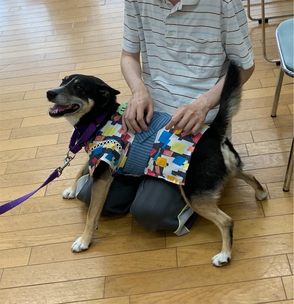 f:id:sakaivet2019:20211028143103j:image
