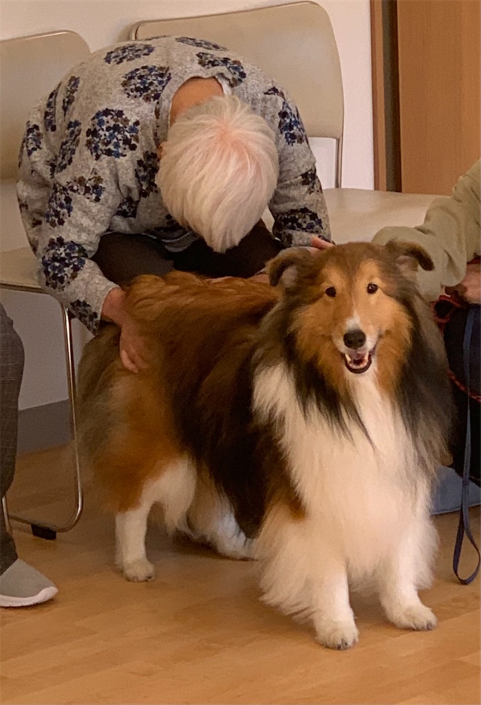 f:id:sakaivet2019:20211028150837j:image f:id:sakaivet2019:20211028150837j:image