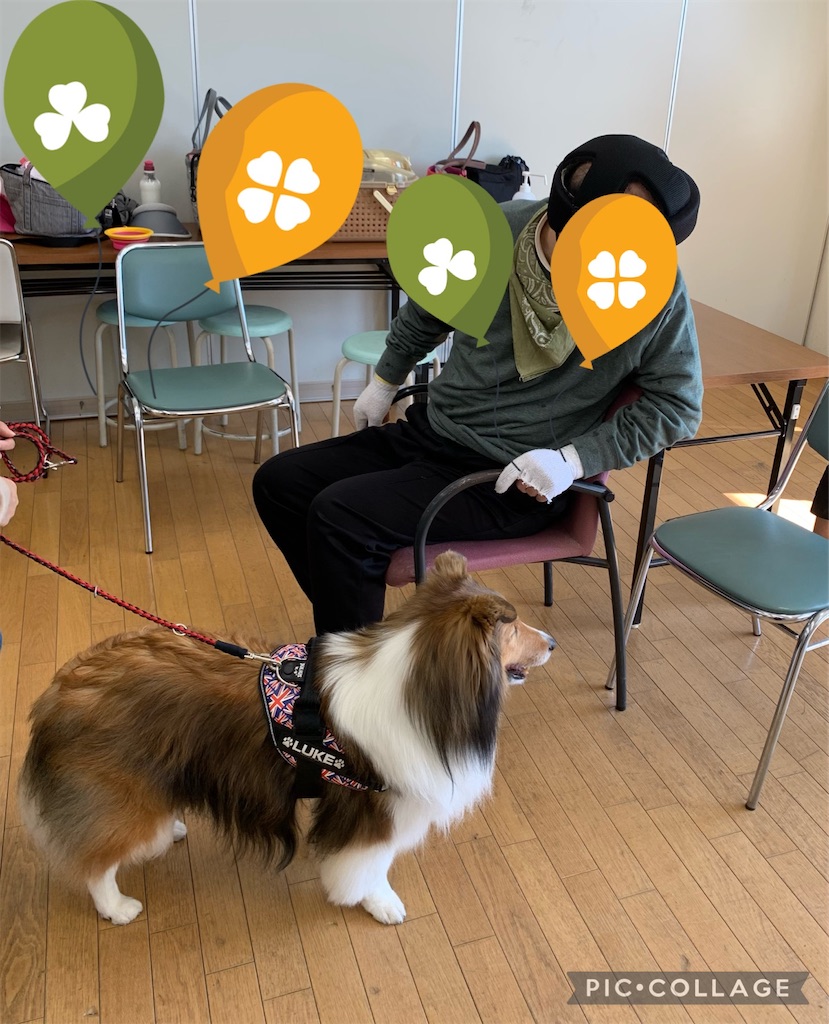 f:id:sakaivet2019:20211029120736j:image