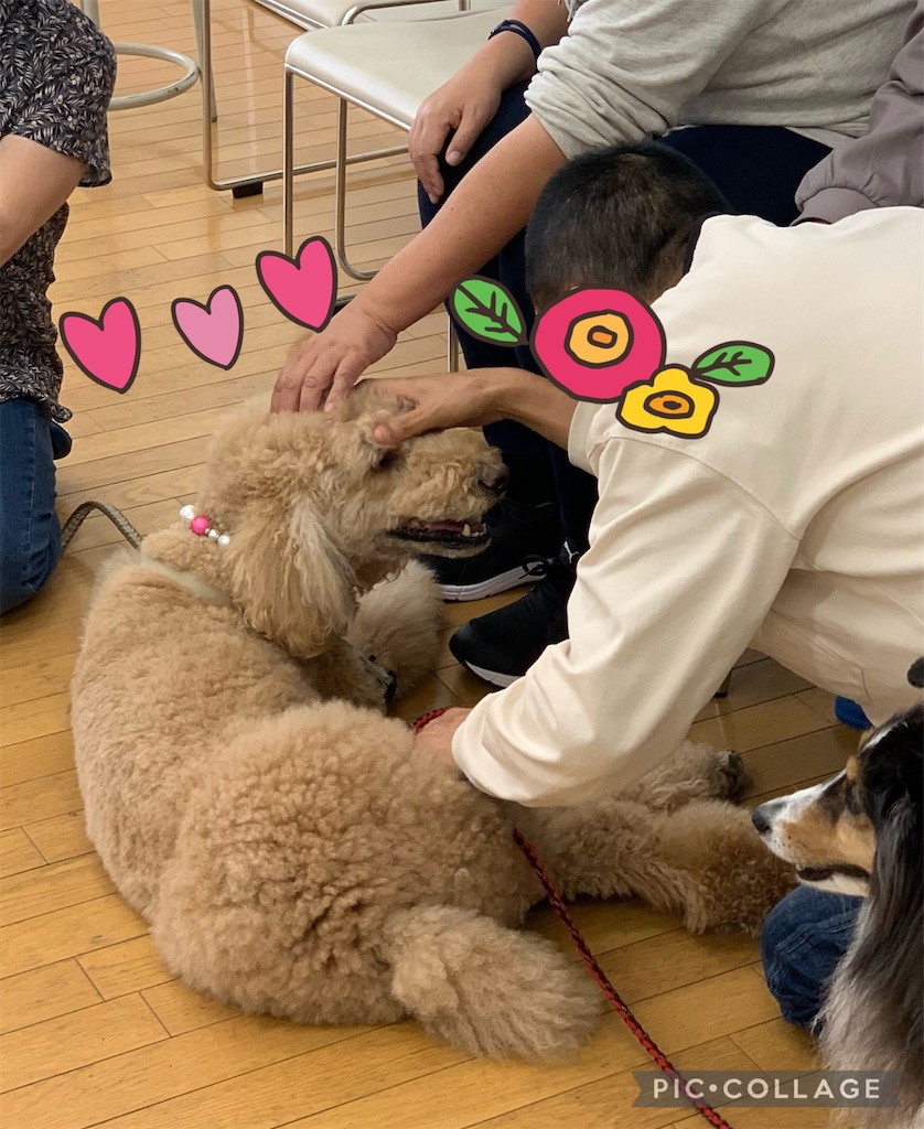 f:id:sakaivet2019:20211029120826j:image