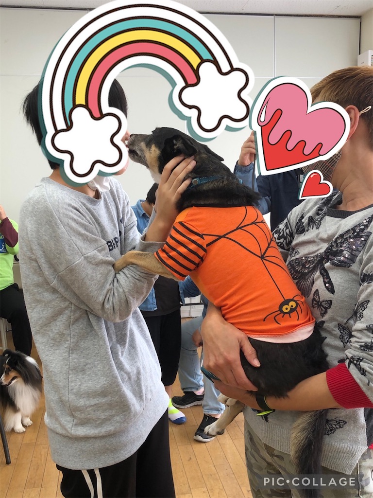f:id:sakaivet2019:20211029120922j:image