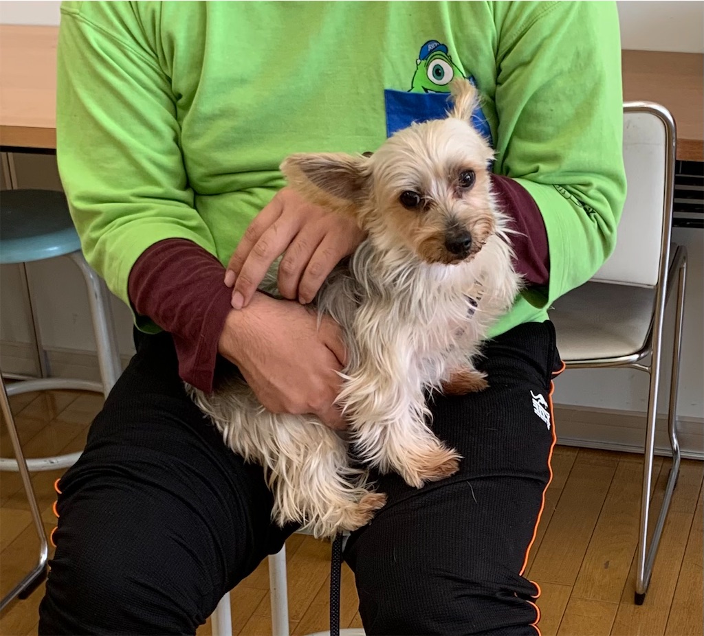 f:id:sakaivet2019:20211029120954j:image