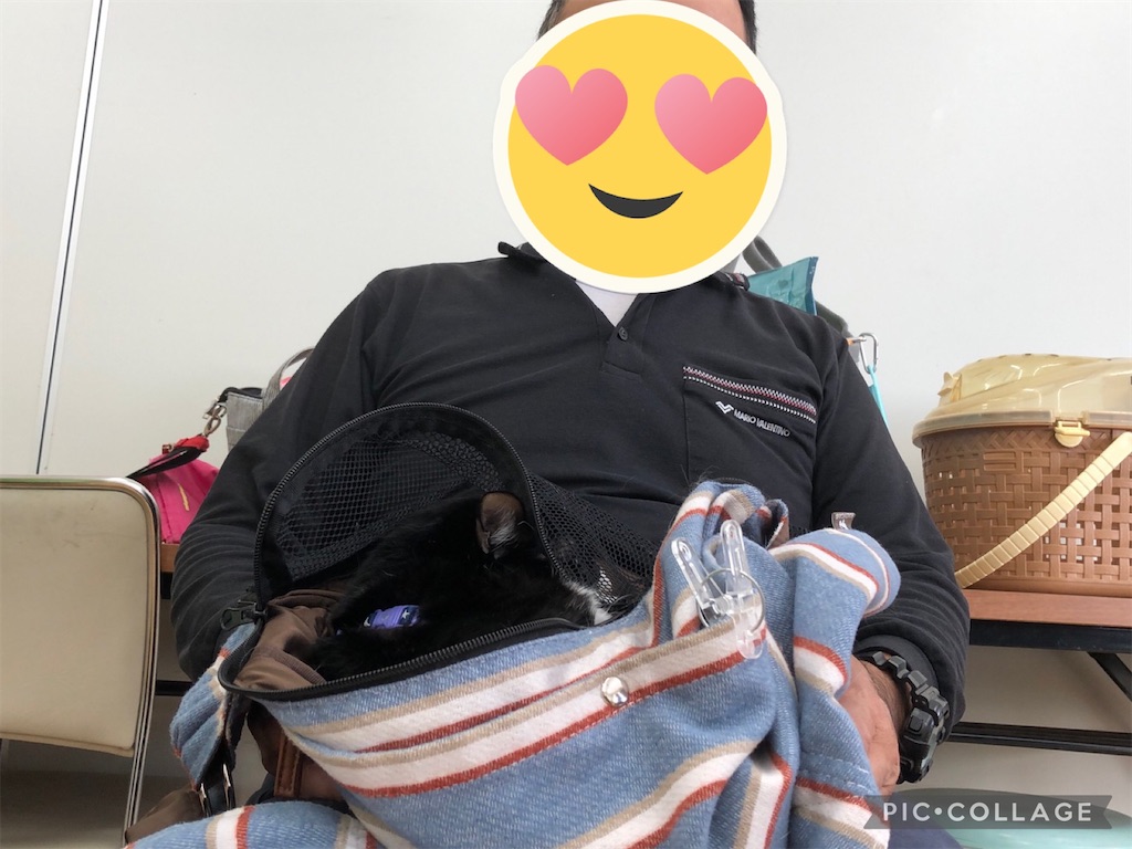 f:id:sakaivet2019:20211029121104j:image