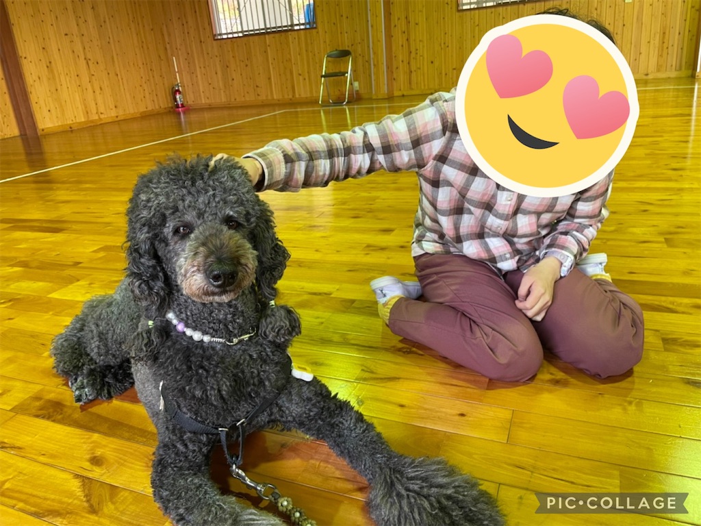 f:id:sakaivet2019:20211128174516j:image f:id:sakaivet2019:20211128174516j:image