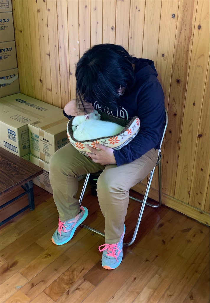 f:id:sakaivet2019:20211128174729j:image f:id:sakaivet2019:20211128174729j:image