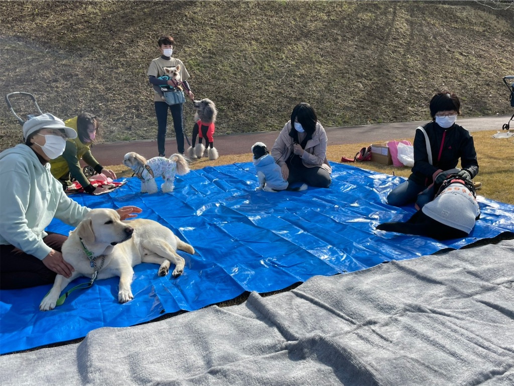 f:id:sakaivet2019:20211128181747j:image f:id:sakaivet2019:20211128181747j:image