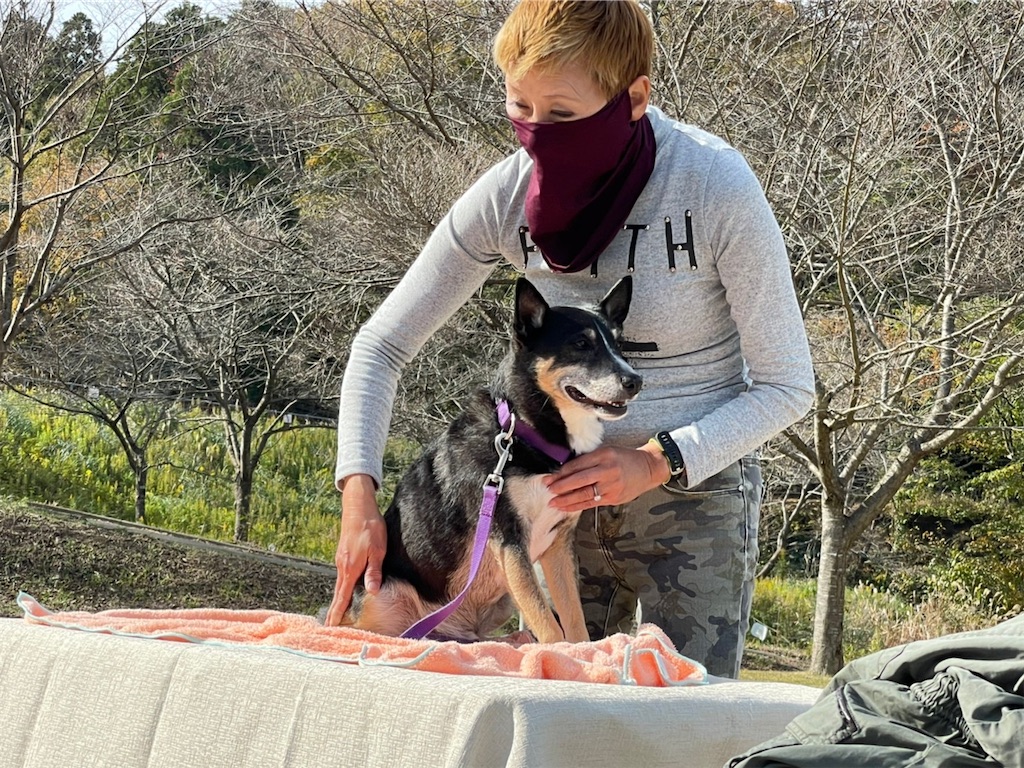 f:id:sakaivet2019:20211128181752j:image f:id:sakaivet2019:20211128181752j:image