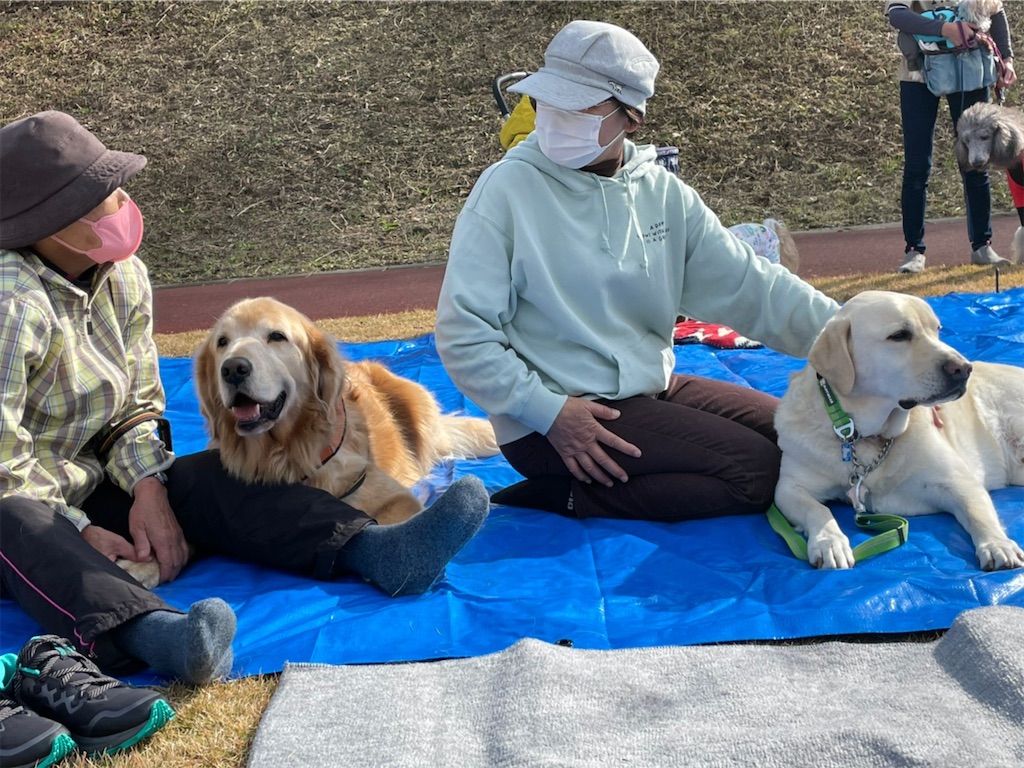 f:id:sakaivet2019:20211128181756j:image f:id:sakaivet2019:20211128181756j:image
