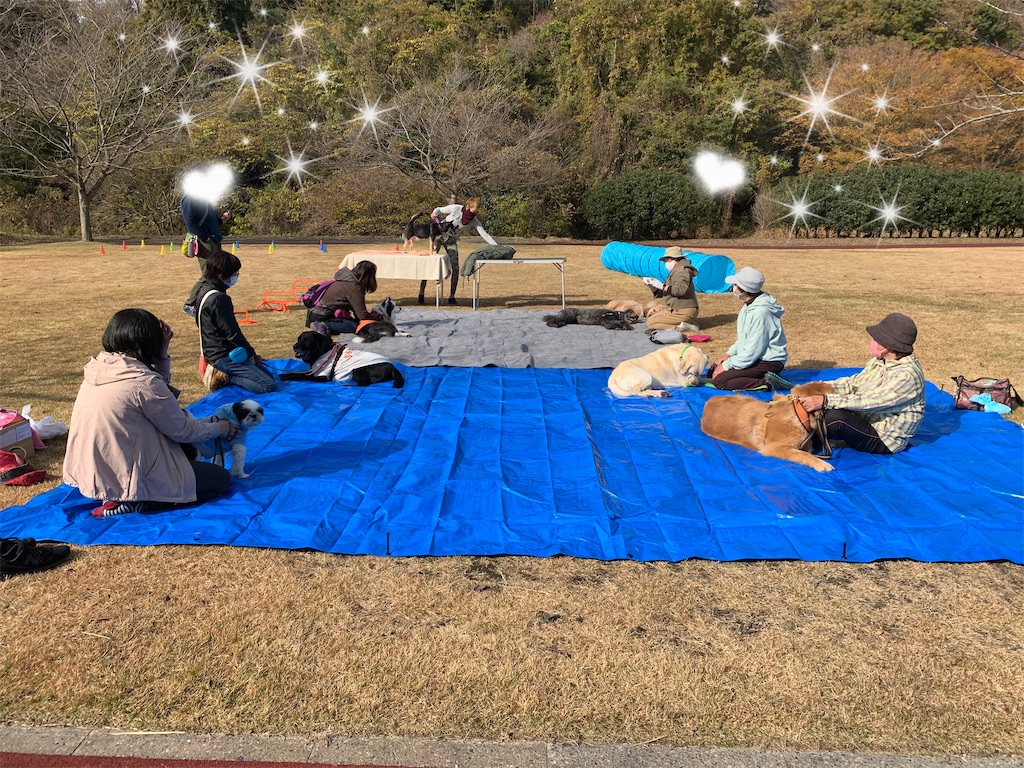 f:id:sakaivet2019:20211128182318j:image f:id:sakaivet2019:20211128182318j:image