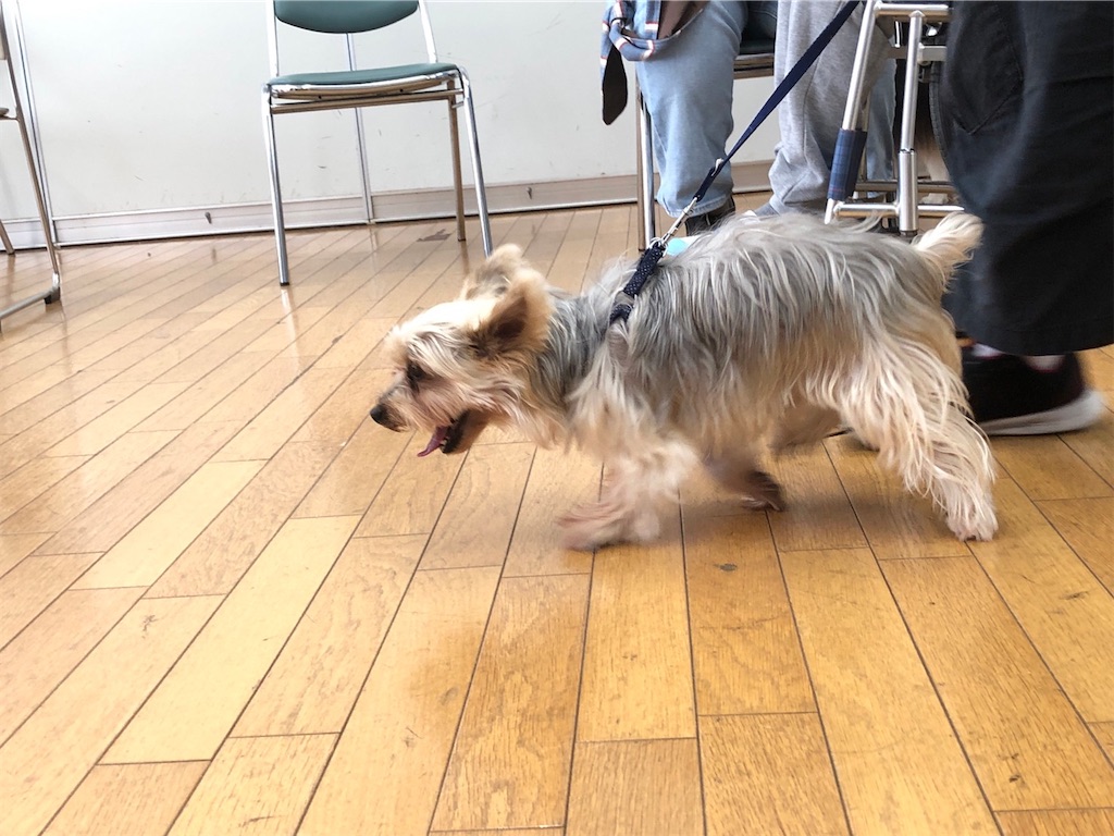 f:id:sakaivet2019:20211128194731j:image f:id:sakaivet2019:20211128194731j:image
